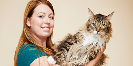 Kucing terpanjang (mantan pemegang rekor)