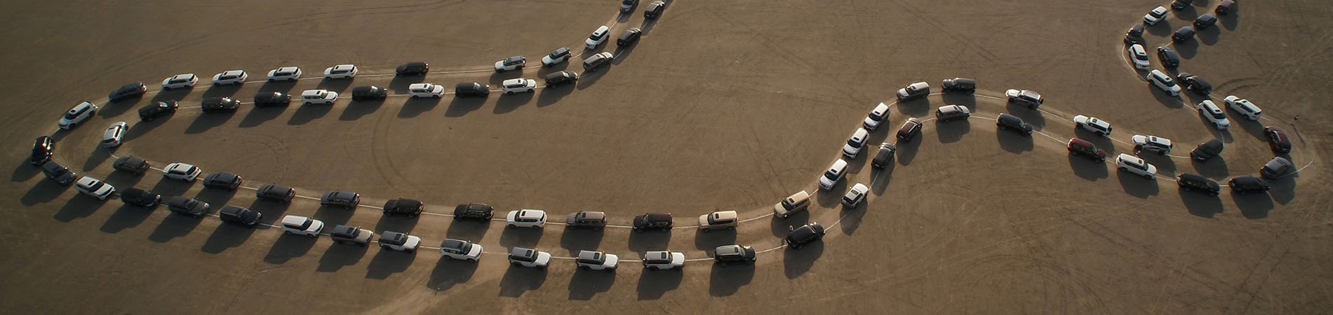 A large parade of Nissan cars